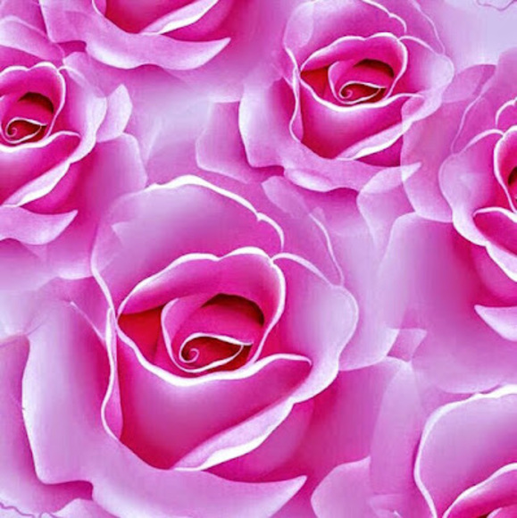 rosesnroses702